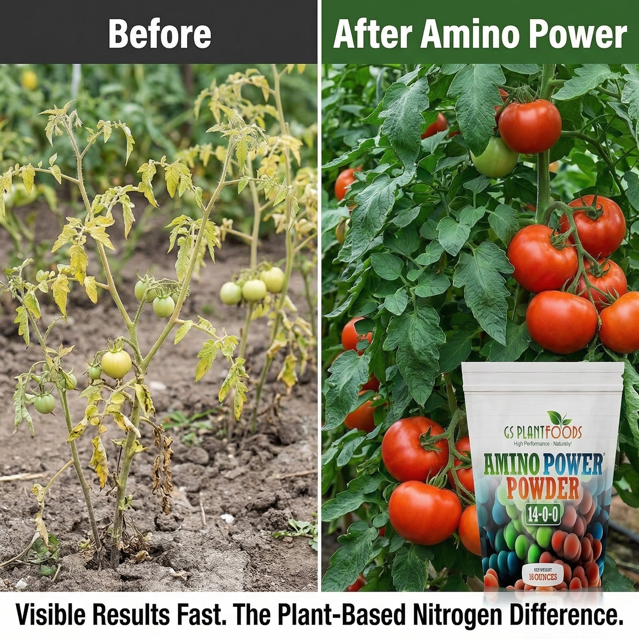 Amino Power Powder Nitrogen Fertilizer Water Soluble Plant Growth