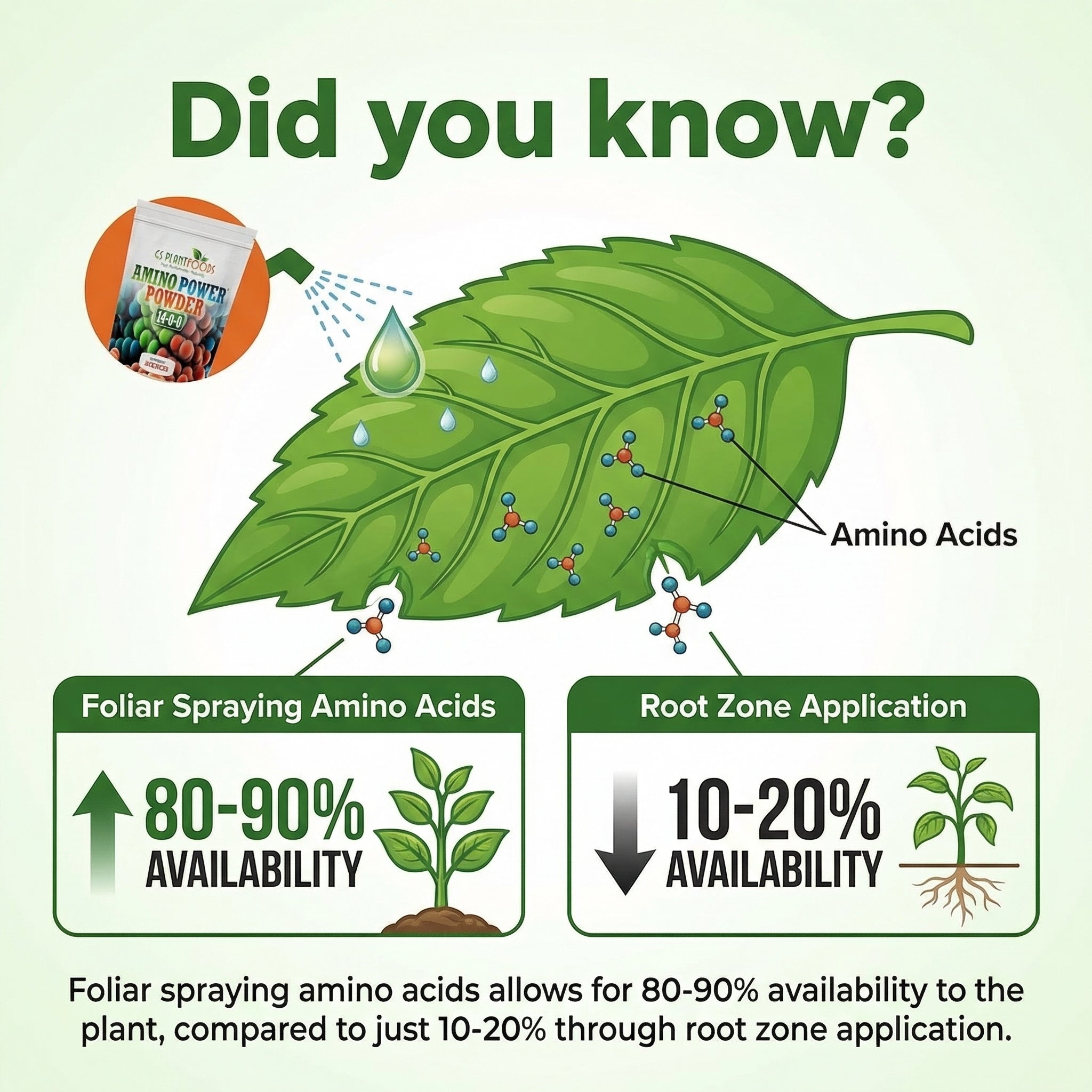 Amino Power Powder Nitrogen Fertilizer Water Soluble Plant Growth