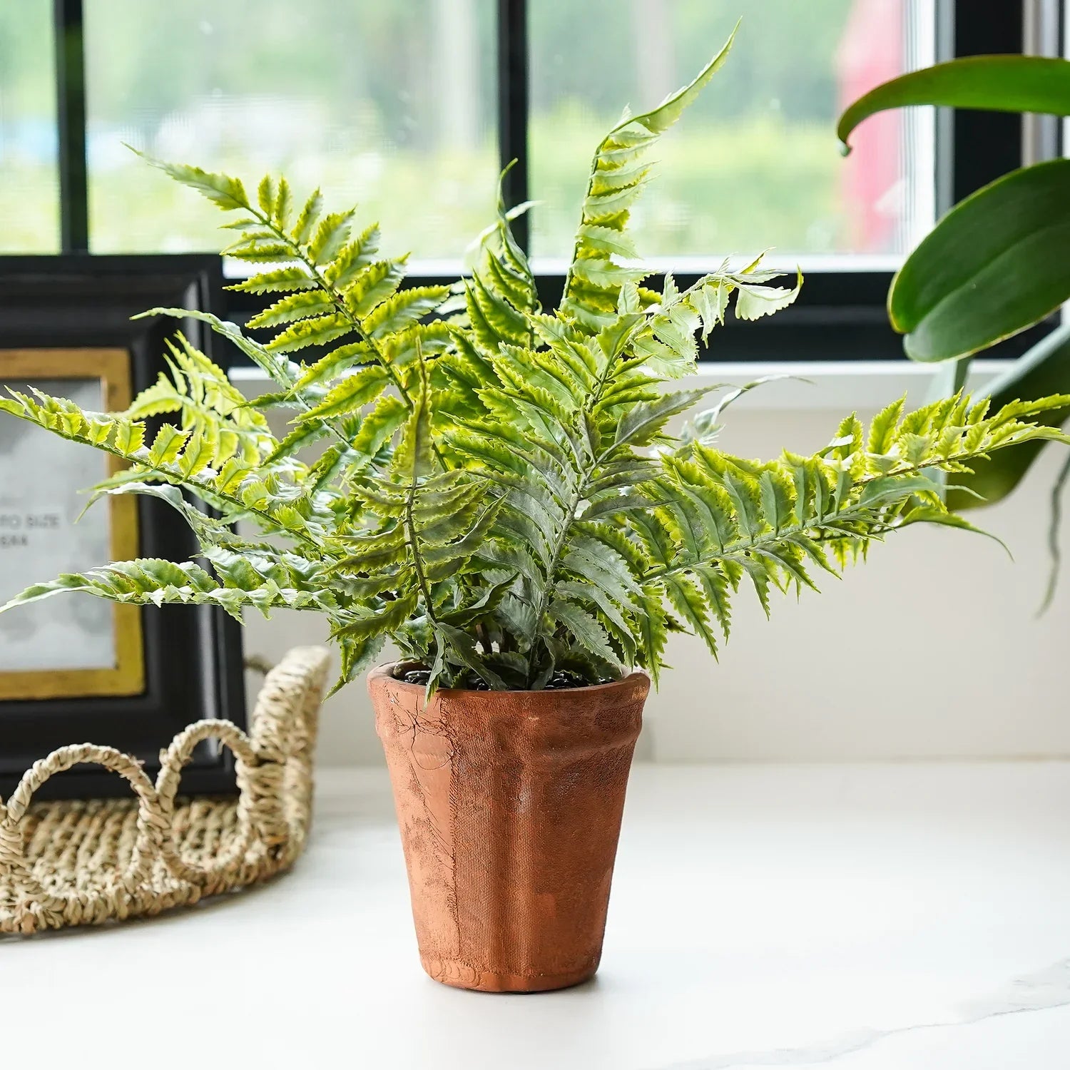 Faux Fern in Terracotta Pot Realistic Indoor Decorative Plant