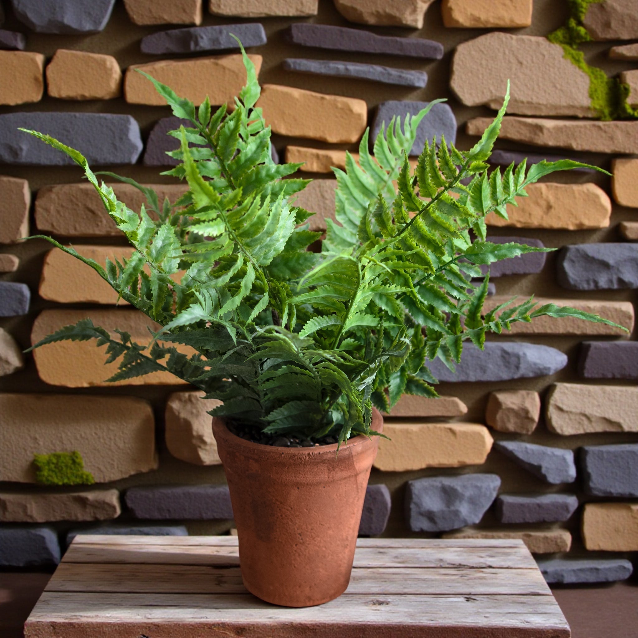 Faux Fern in Terracotta Pot Realistic Indoor Decorative Plant