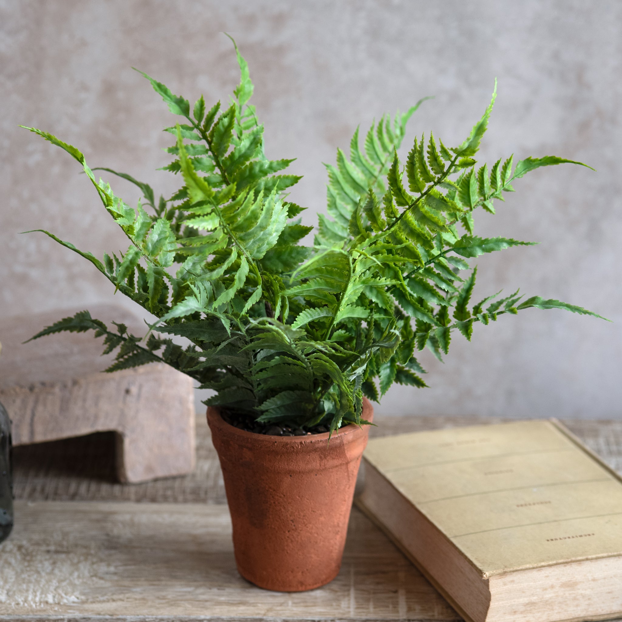 Faux Fern in Terracotta Pot Realistic Indoor Decorative Plant