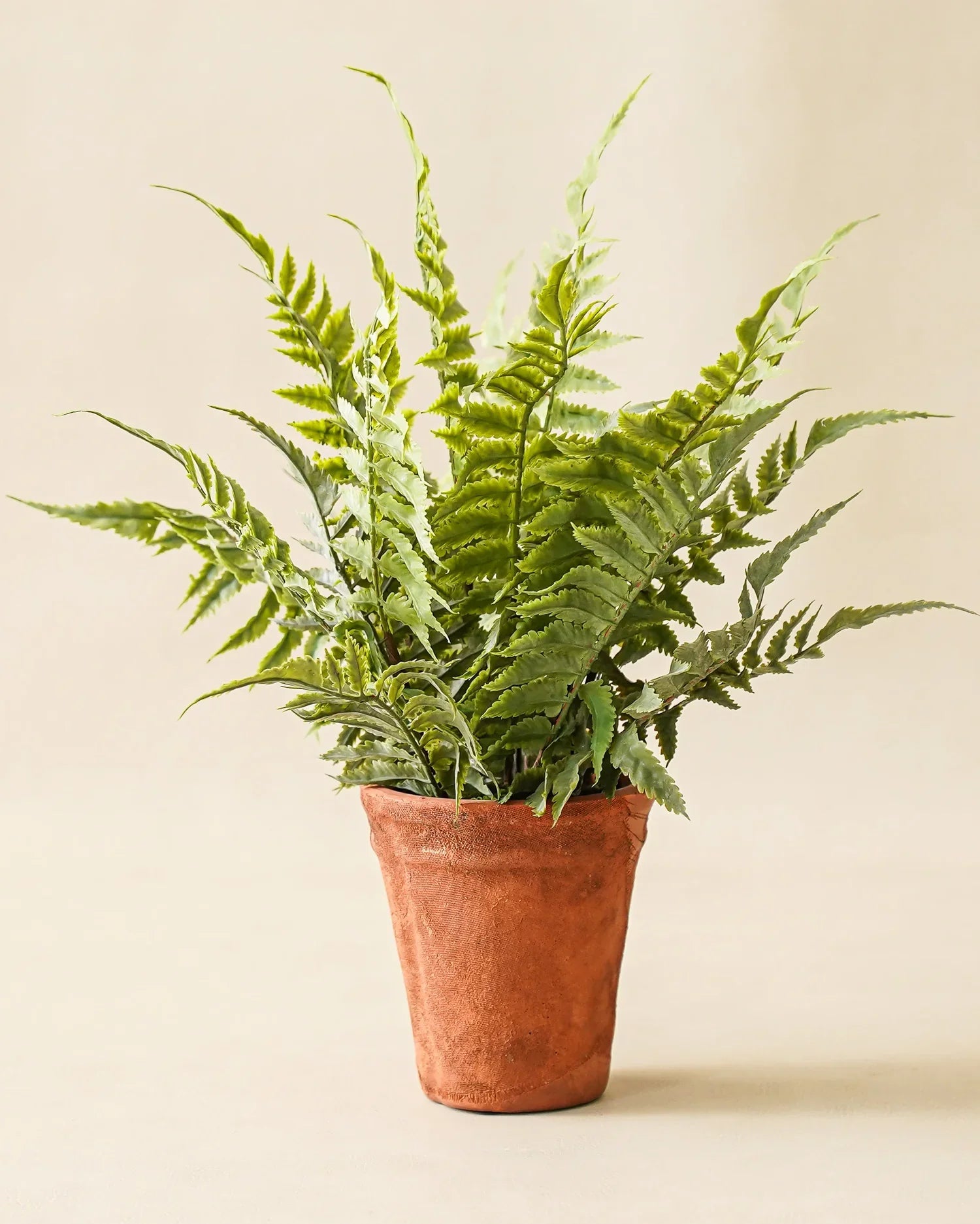Faux Fern in Terracotta Pot Realistic Indoor Decorative Plant