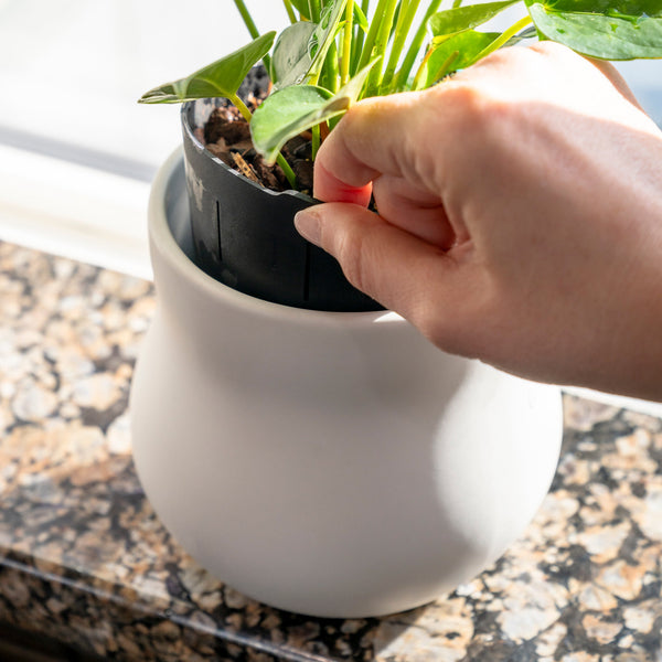 Ceramic Plant Pot with Rubber Liner Alabaster White Indoor Decor