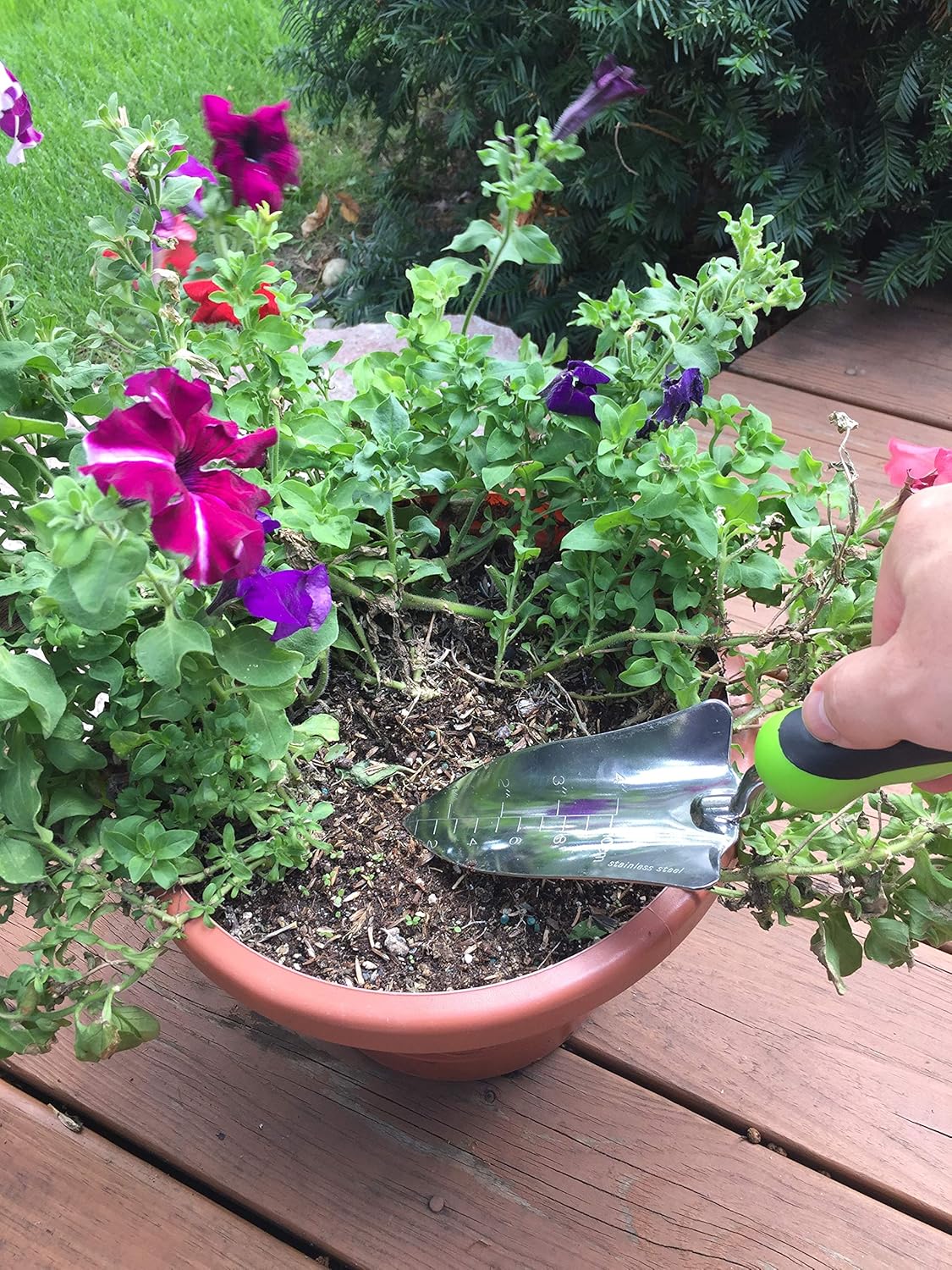 3 Piece Stainless Steel Gardening Tool Set Trowel Cultivator Transplanter
