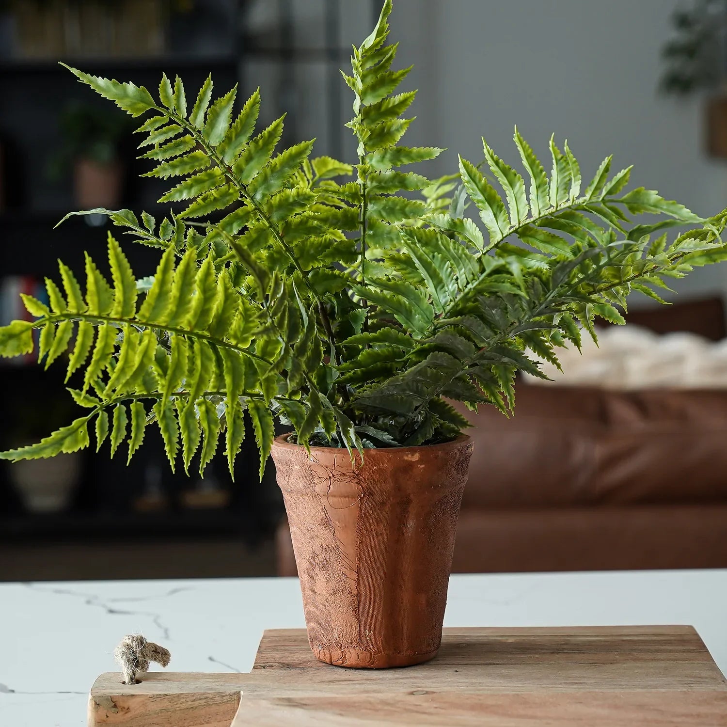 Faux Fern in Terracotta Pot Realistic Indoor Decorative Plant