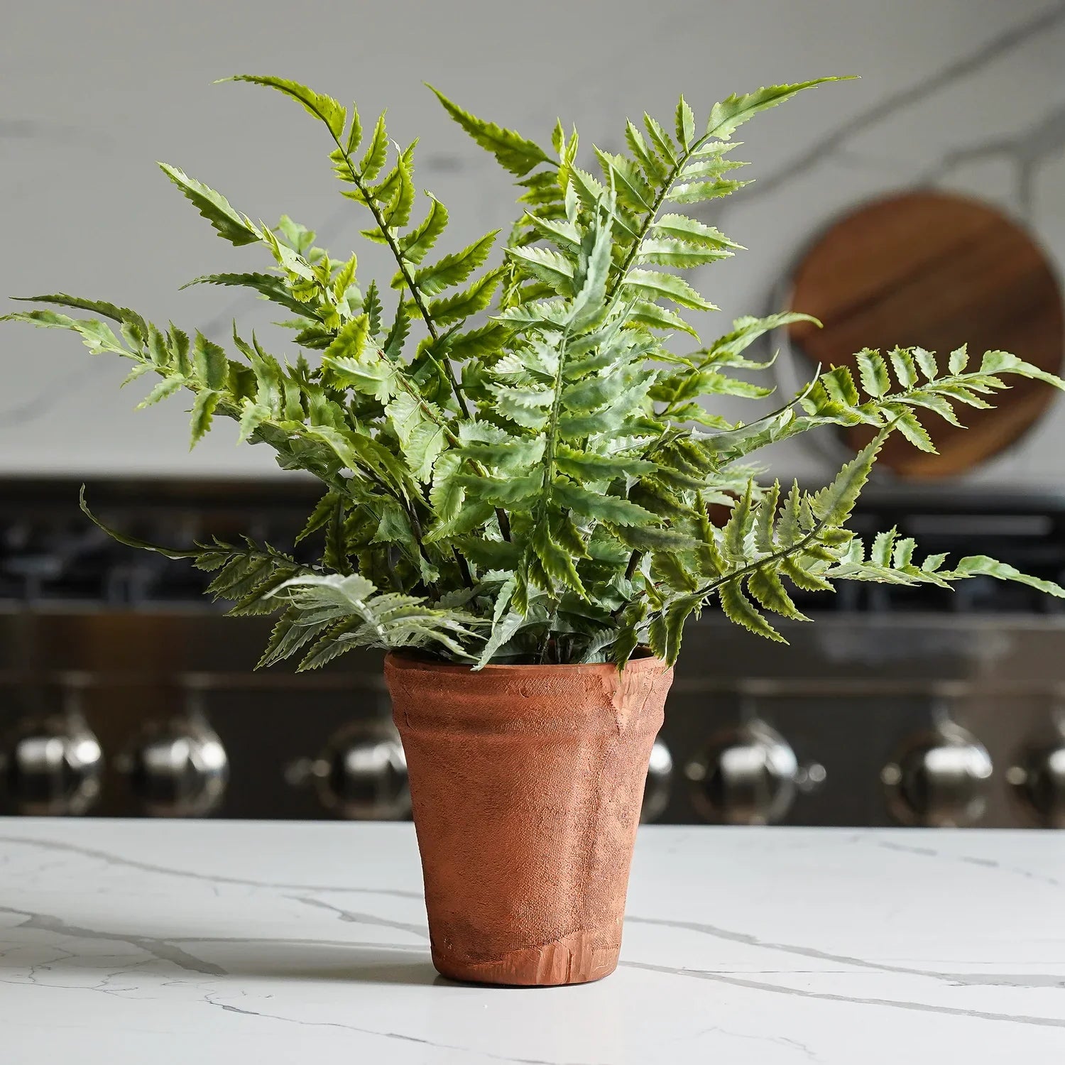 Faux Fern in Terracotta Pot Realistic Indoor Decorative Plant