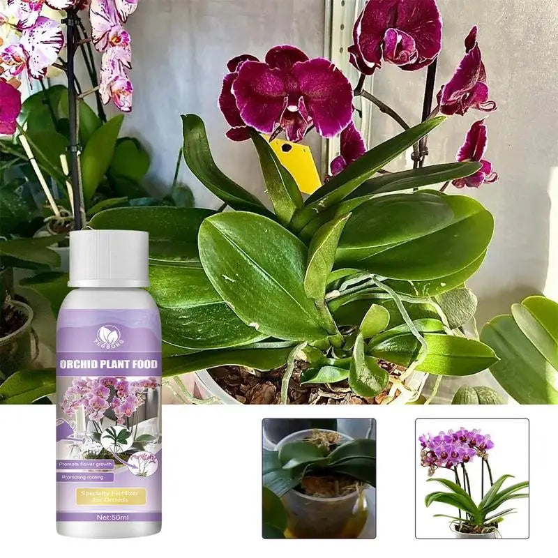 50ml Orchid Liquid Fertilizer Growth Enhancer Blooming Plant Food
