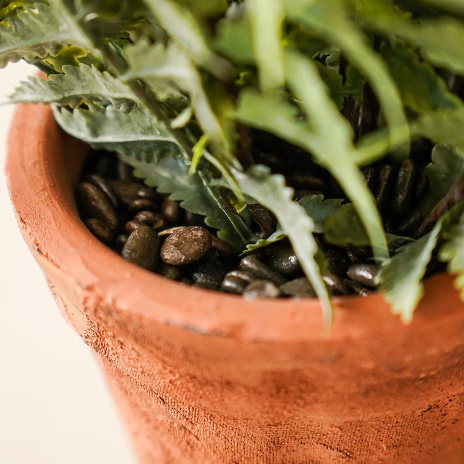 Faux Fern in Terracotta Pot Realistic Indoor Decorative Plant