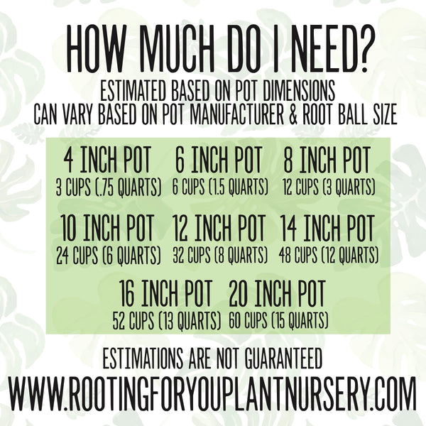 Plant Premium Potting Mix Well Draining Aroid Soil Blend