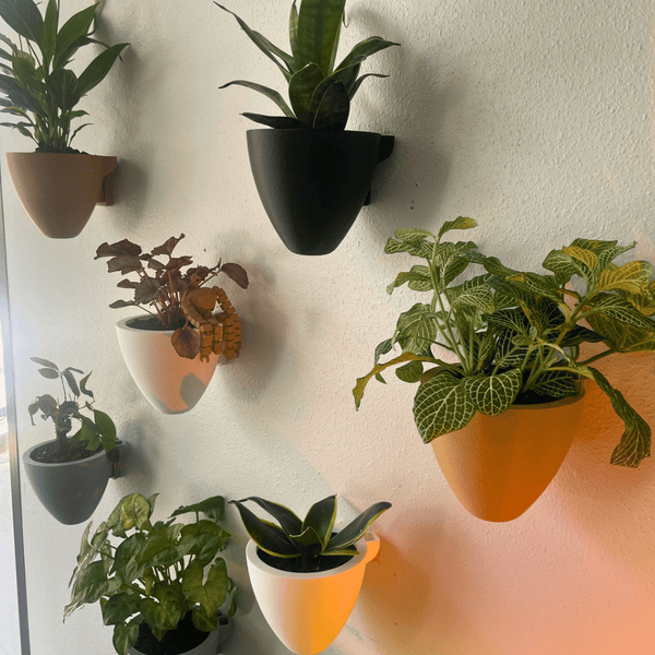 Magic Wall Planters Self Watering Easy Care Indoor Outdoor Pots