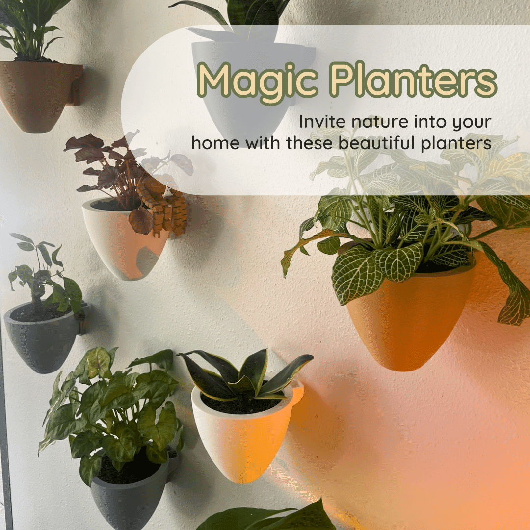 Magic Wall Planters Self Watering Easy Care Indoor Outdoor Pots