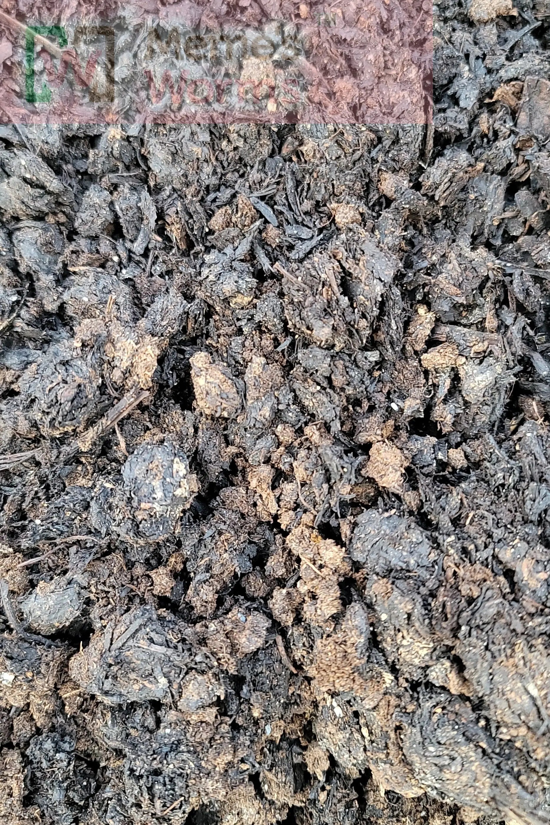 Mushroom Compost Organic Soil Amendment Garden Fertilizer Plant Growth