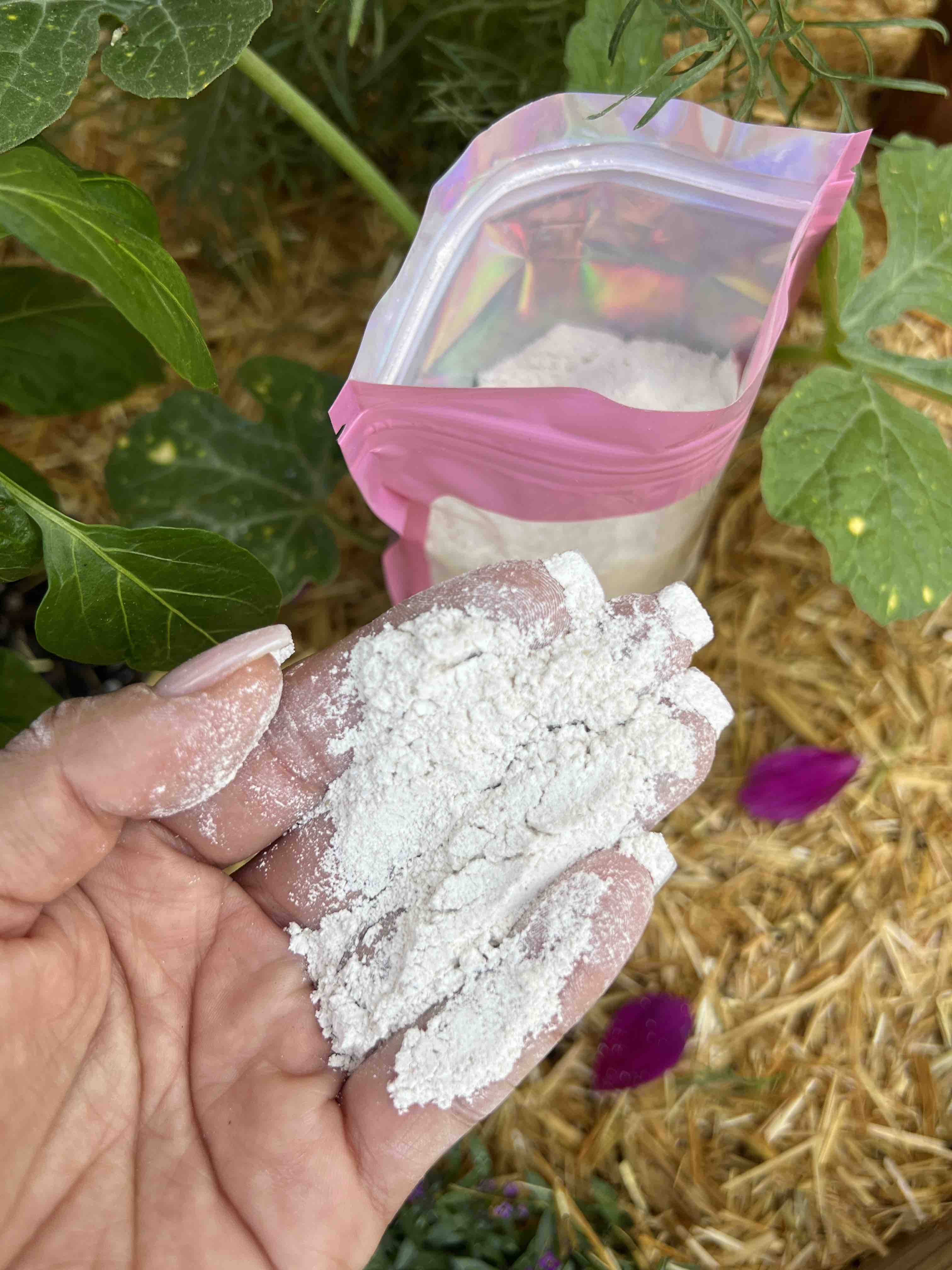 Oyster Shell Flour Composting Soil Amendment Calcium Garden Fertilizer