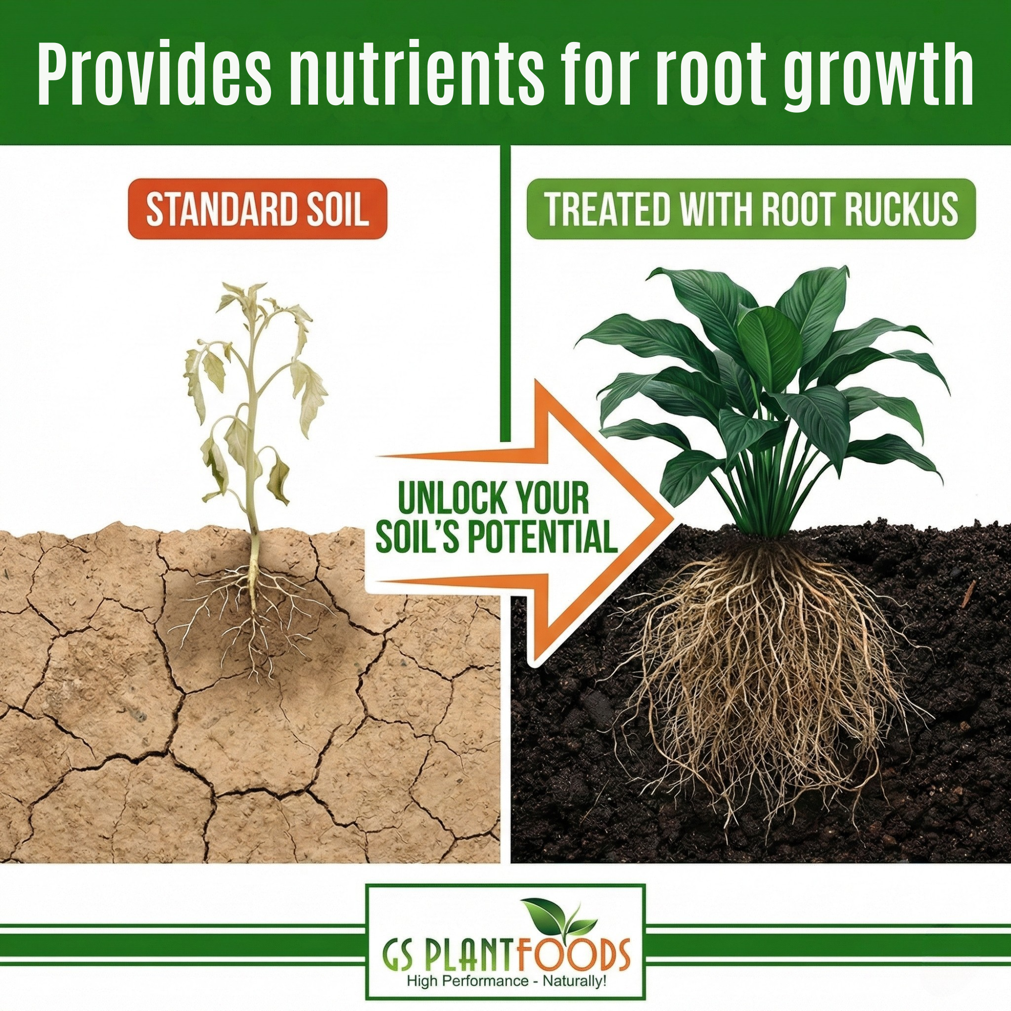 Root Ruckus Turbo Charged Liquid Compost Organic Plant Fertilizer Booster