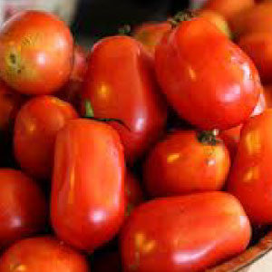 Roma Tomato Seeds Heirloom Paste Vegetable Garden High Yield Plant