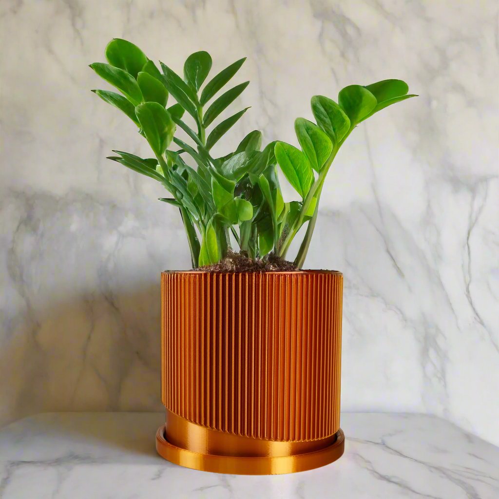 Mid Century Ribbed Planter with Drainage Saucer Modern Wave