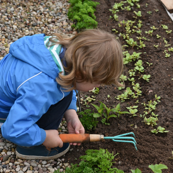 Child in a blue jacket gardening with a small tool in a garden bed.