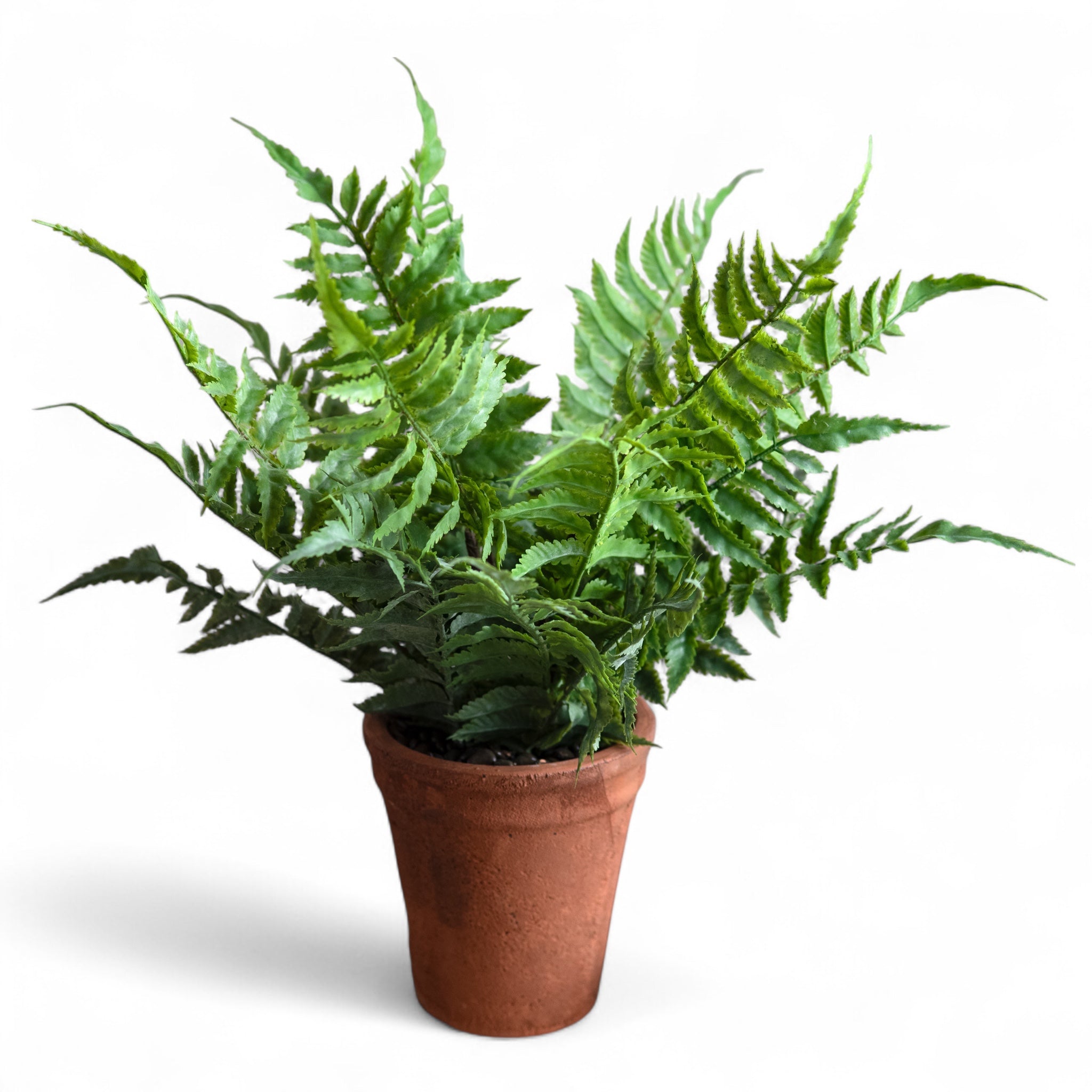 Faux Fern in Terracotta Pot Realistic Indoor Decorative Plant