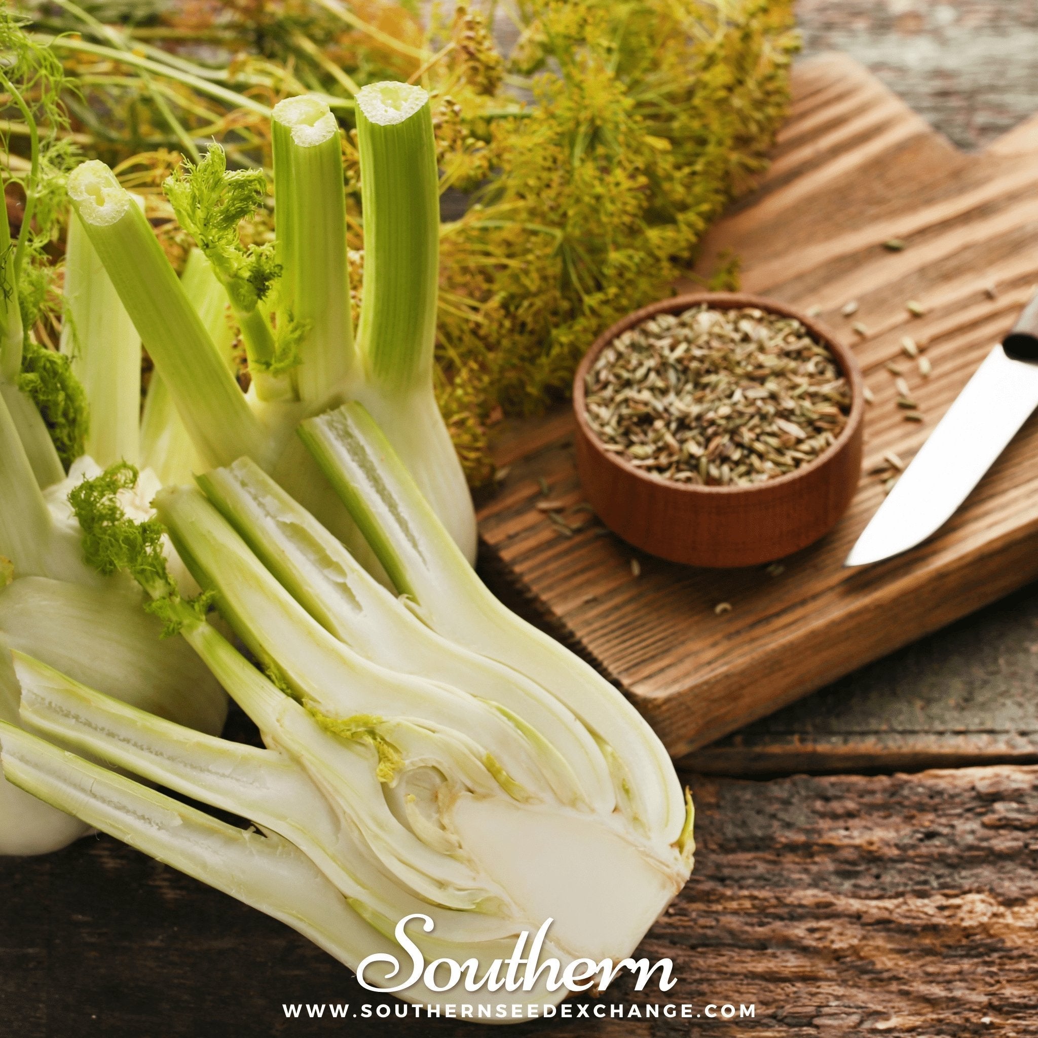 Florence Fennel Seeds Heirloom Vegetable Garden Aromatic Bulb Plant