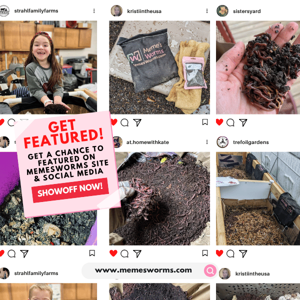 Oyster Shell Flour Composting Soil Amendment Calcium Garden Fertilizer