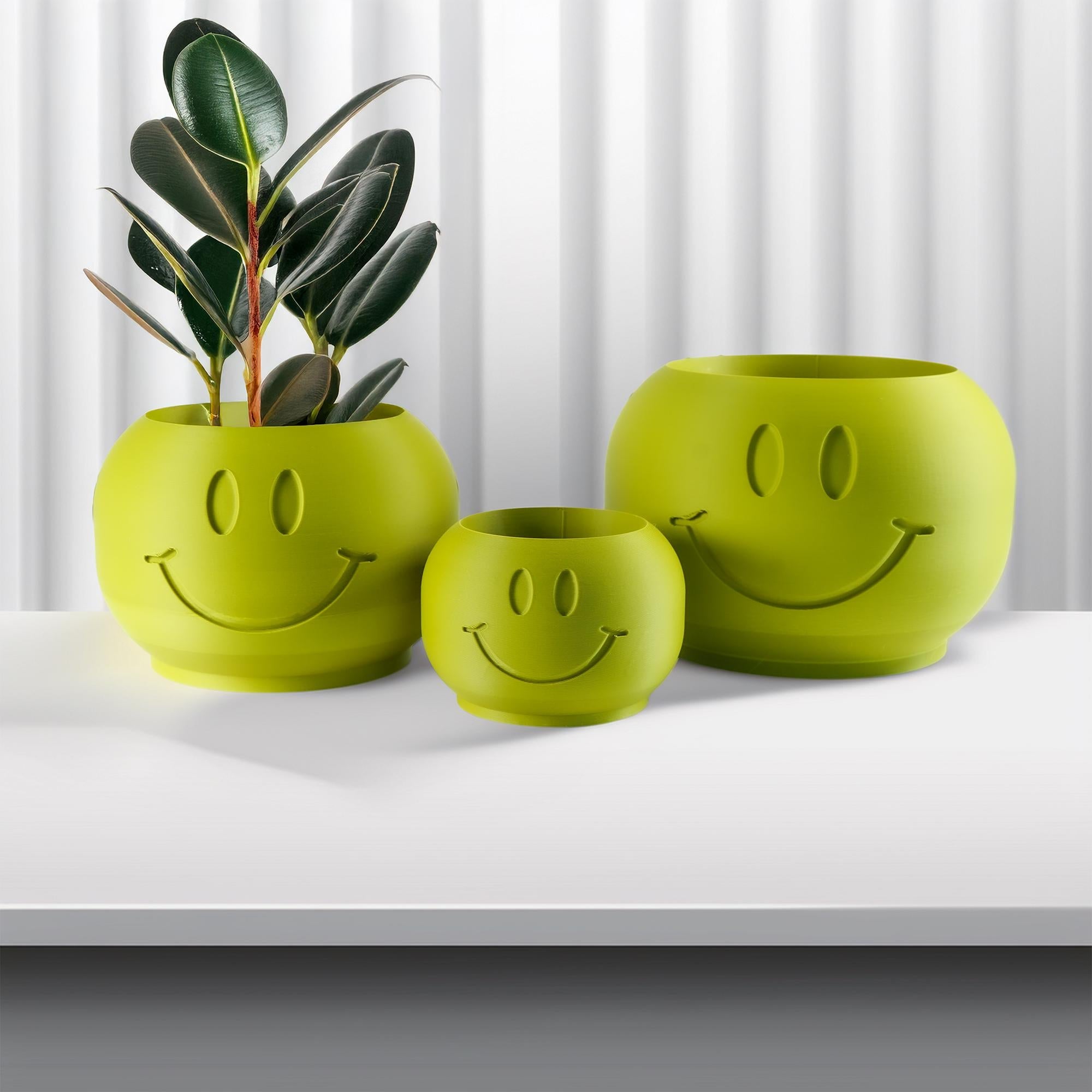 Happy Sprout Smiley Face Plant Pot Drainage Tray Cute Decor