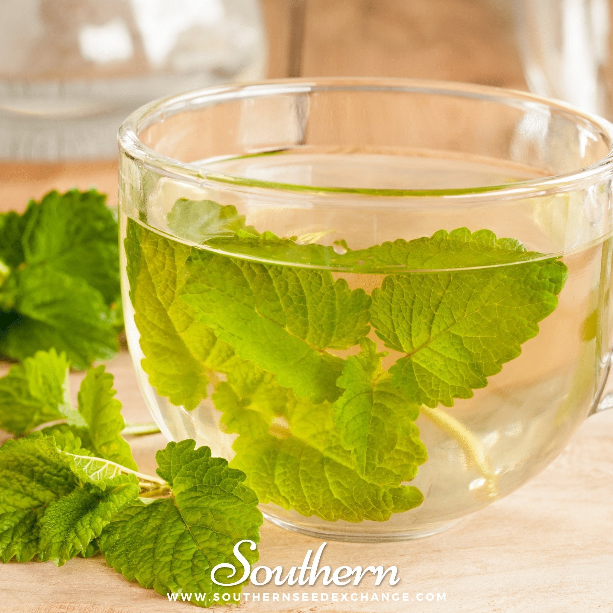 Lemon Balm Seeds Aromatic Herb Garden Tea Medicinal Plant