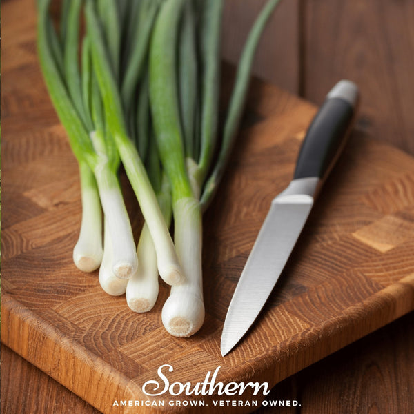 Tokyo Long White Onion Seeds Green Scallion Garden Vegetable Plant