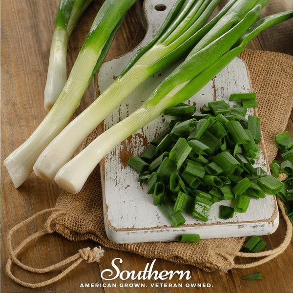 Tokyo Long White Onion Seeds Green Scallion Garden Vegetable Plant