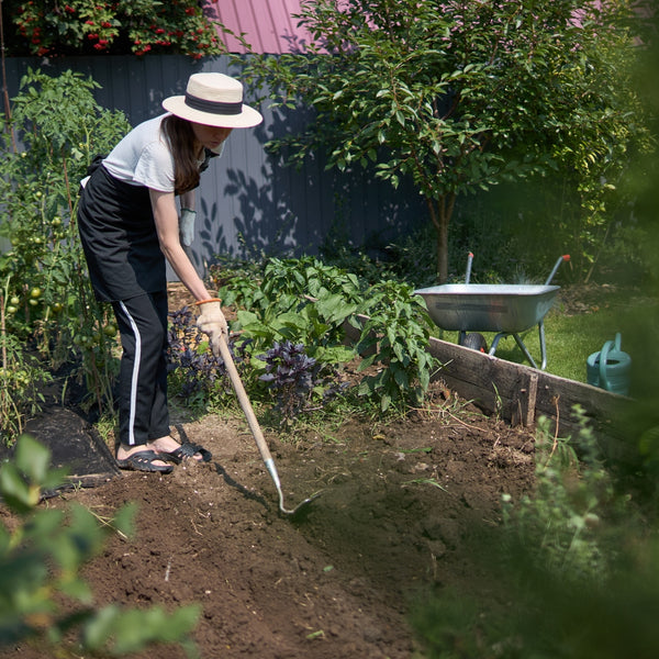 Person gardening in a backyard with a wheelbarrow and plants around
