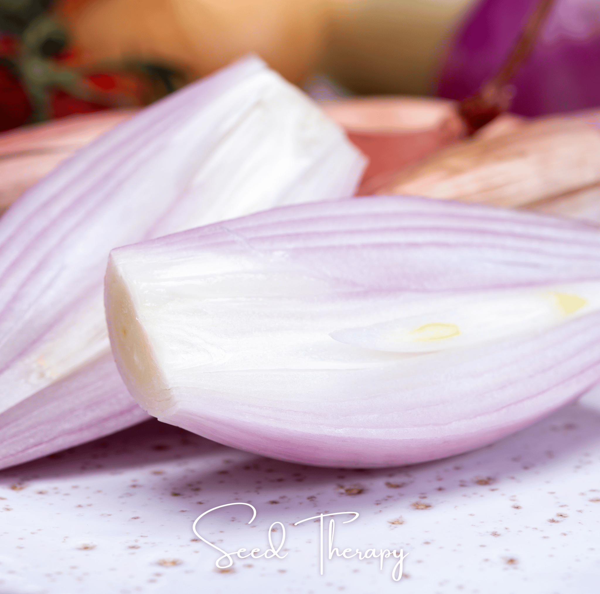 Zebrune Shallot Seeds Heirloom Gourmet Onion Garden Vegetable Plant