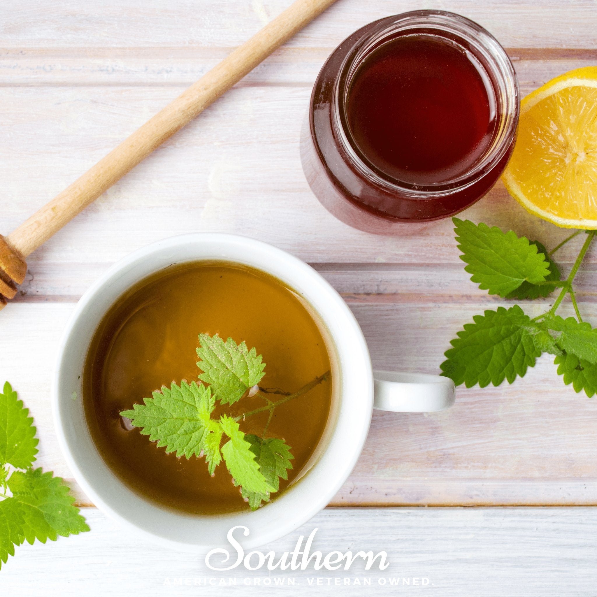 Stinging Nettle Seeds Medicinal Herb Garden Tea Nutrient Rich Plant