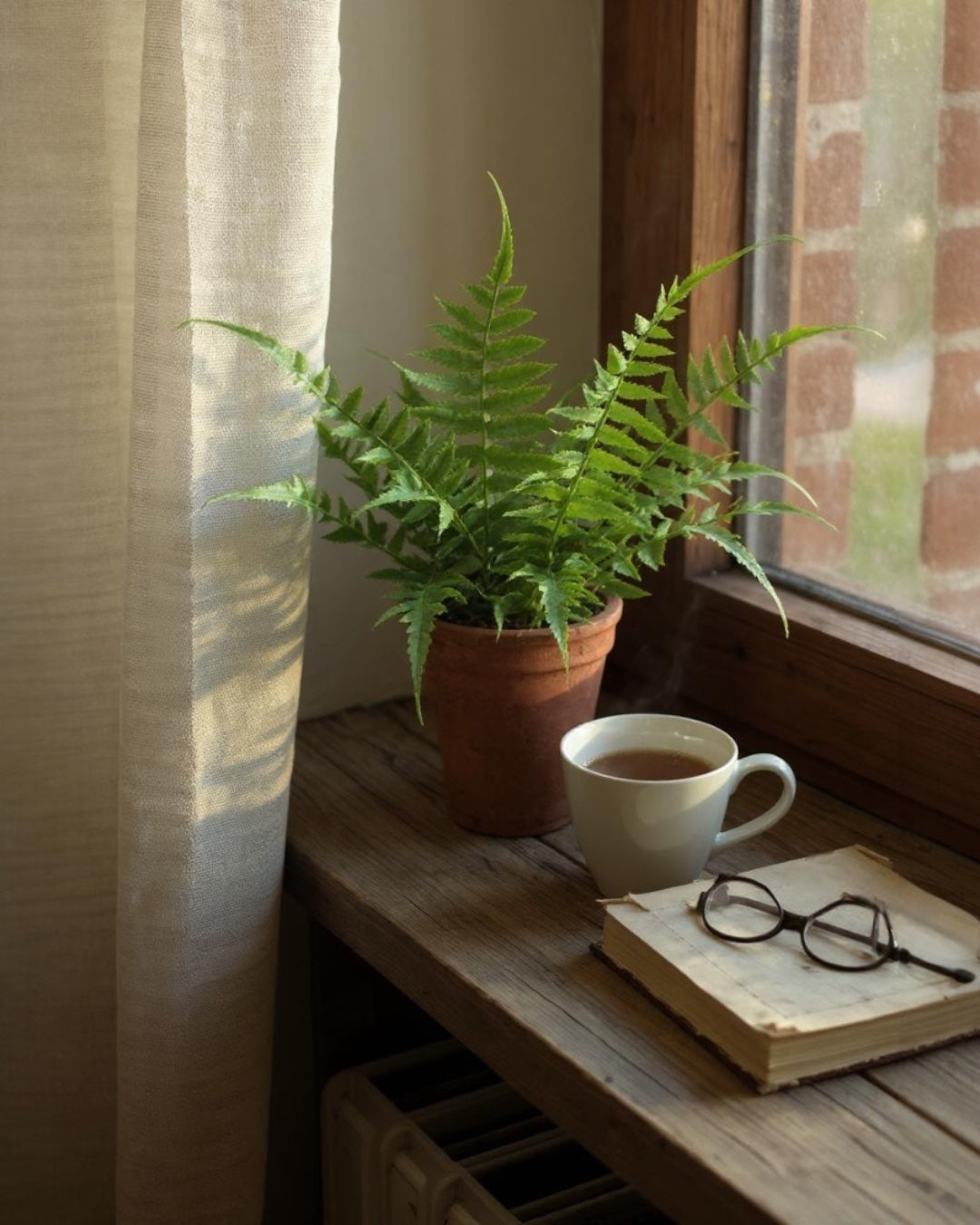 Faux Fern in Terracotta Pot Realistic Indoor Decorative Plant