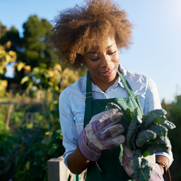 Woman in a garden holding a bunch of kale